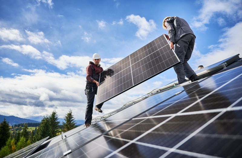 Professional Solar Panel Installer